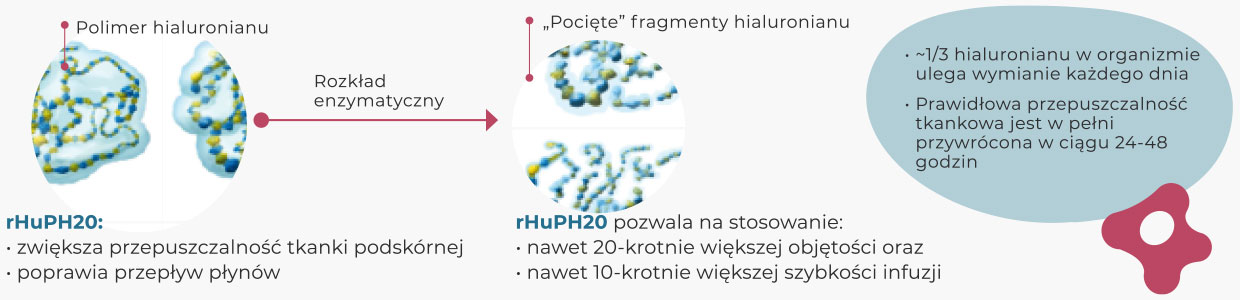 rHuPH20